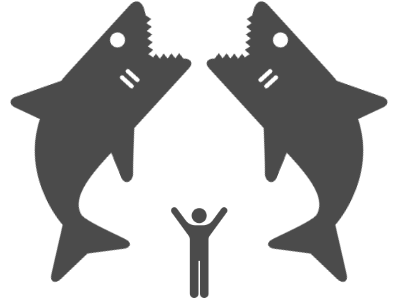 サメ映画への取り組み